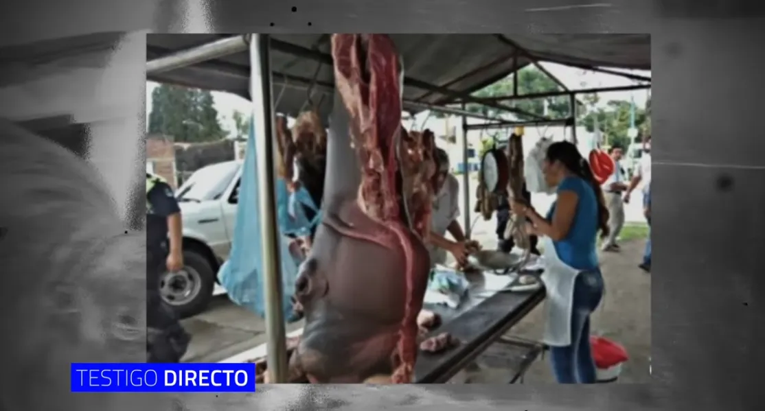 (ANÁLISIS) ¿Sacrificar o aprovechar? El debate que abre la crisis de los hipopótamos en Colombia