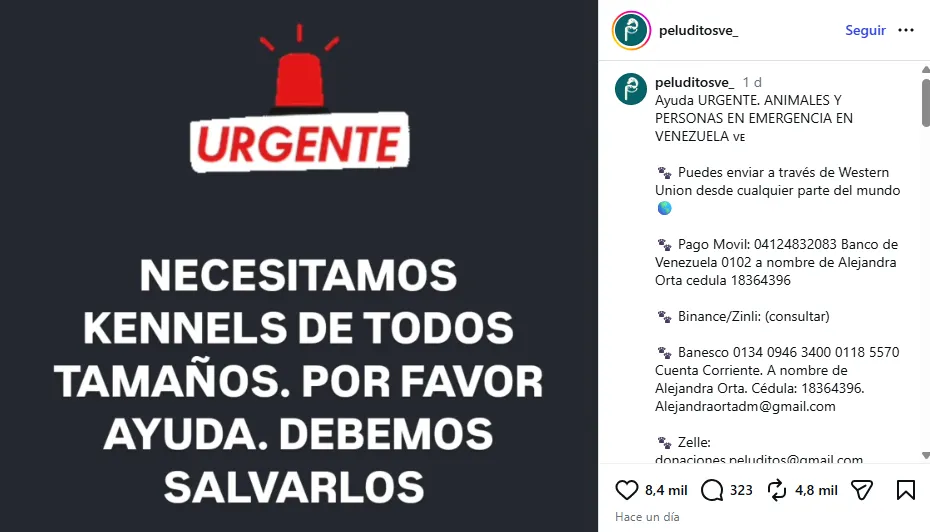(EN VIDEO) Organismos de rescate amplían sus operaciones para salvar mascotas atrapadas tras los sismos en Venezuela