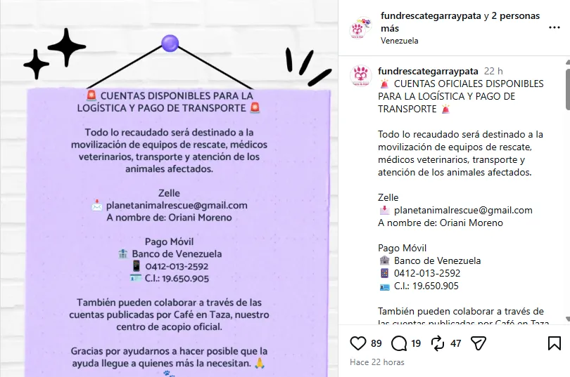 (EN VIDEO) Organismos de rescate amplían sus operaciones para salvar mascotas atrapadas tras los sismos en Venezuela