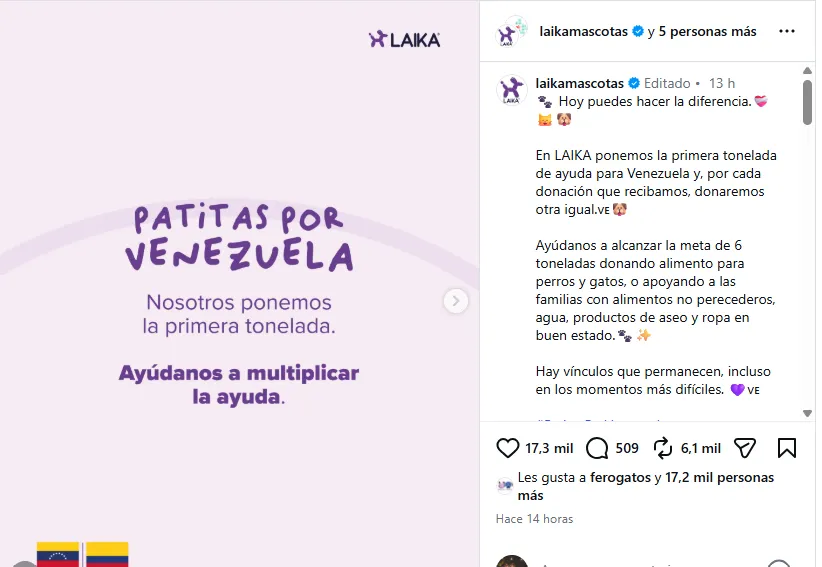 (EN VIDEO) Organismos de rescate amplían sus operaciones para salvar mascotas atrapadas tras los sismos en Venezuela
