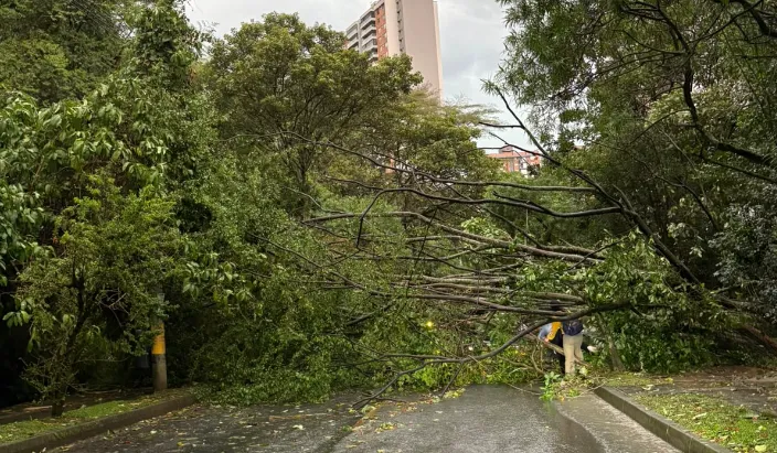 Imagen pegada