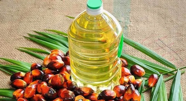 (NOTAS ECONÓMICAS) El año ha sido interesante para la producción de aceite de palma