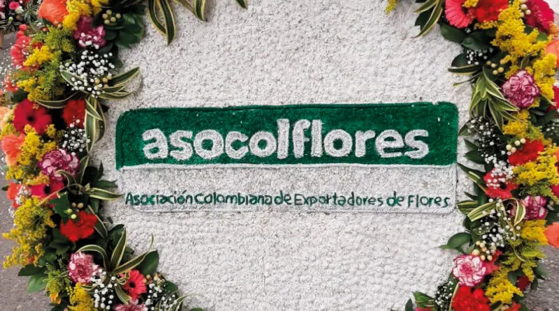 (NOTAS ECONÓMICAS) ASOCOLFLORES: hortensias, rosas y crisantemos que valen oro