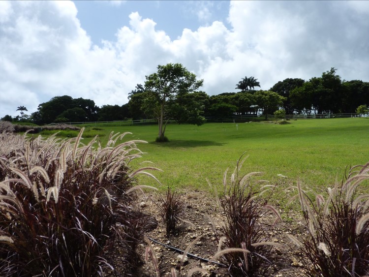 Property thumbnail 9