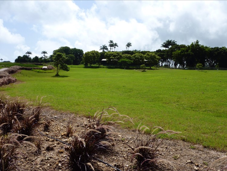 Property thumbnail 10