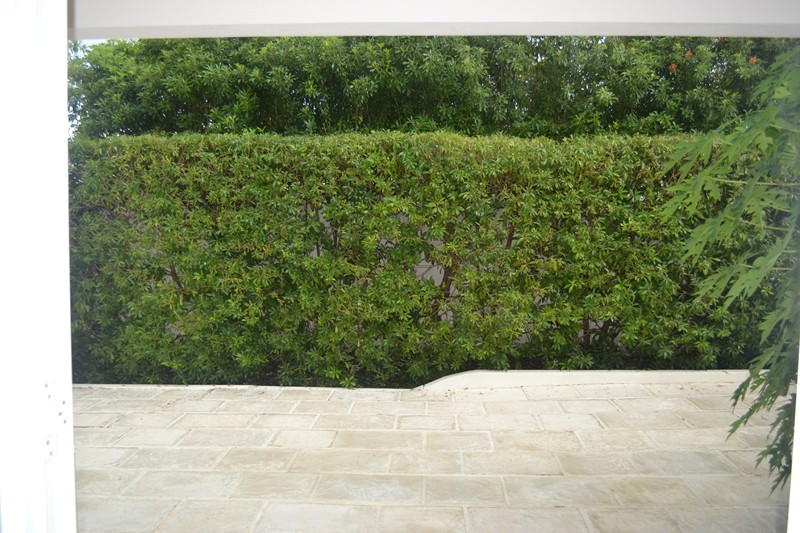 Property thumbnail 51