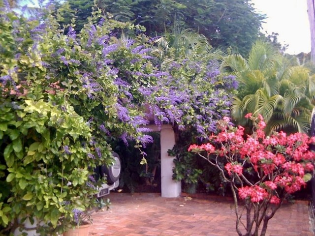 Property thumbnail 7