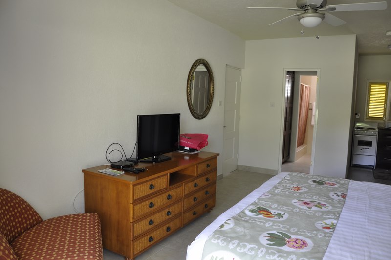 Property thumbnail 6
