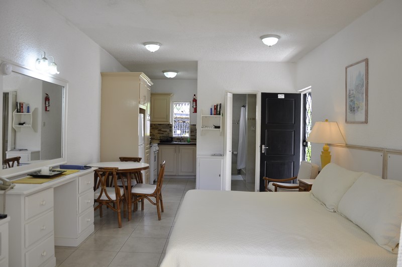 Property thumbnail 7