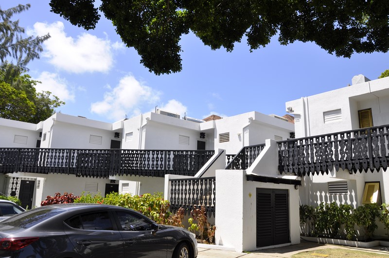 Lemon Arbour 526