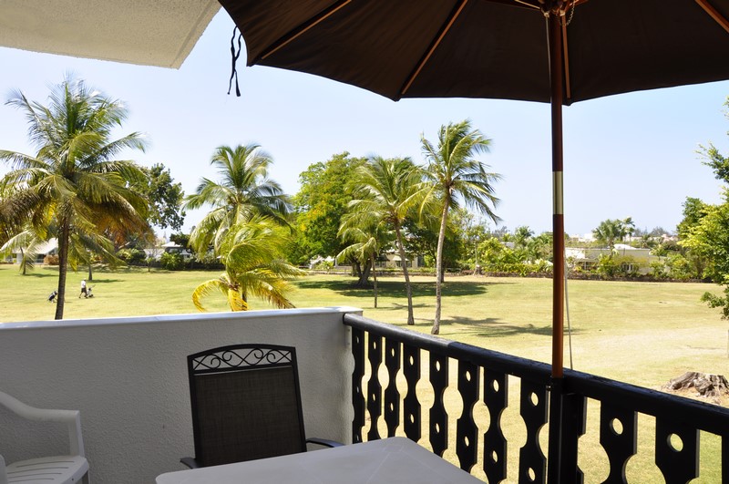 Lemon Arbour 528