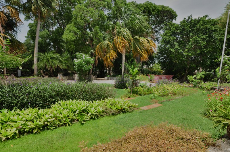 Property thumbnail 12