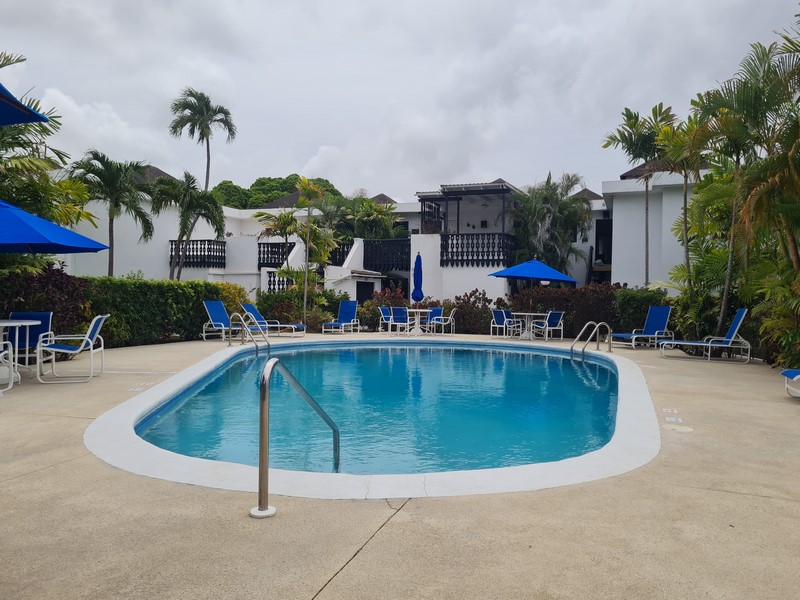 Lemon Arbour 538