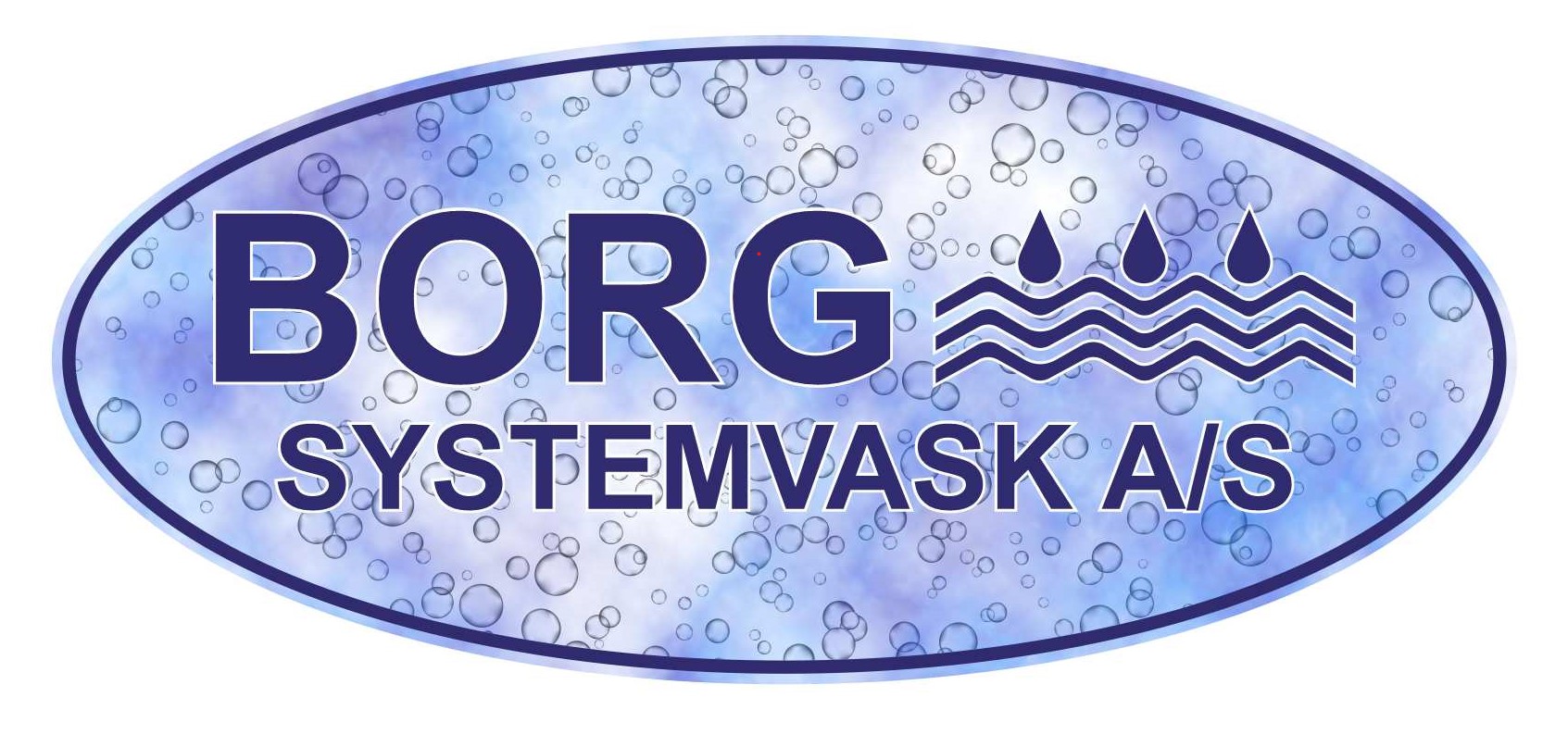 Borg Systemvask AS