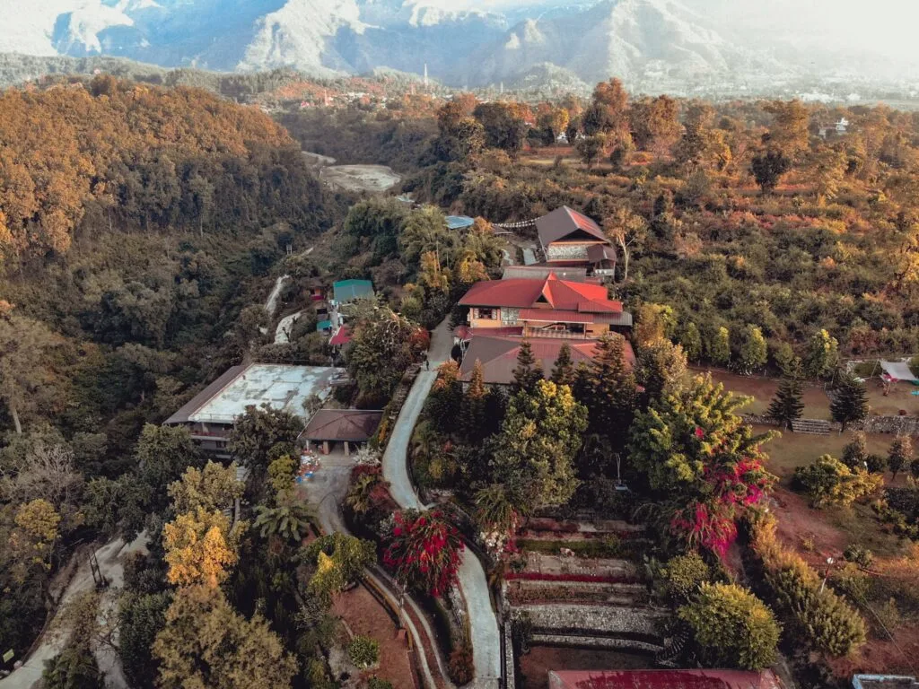 Tree Of Life - Dehradun Foothills