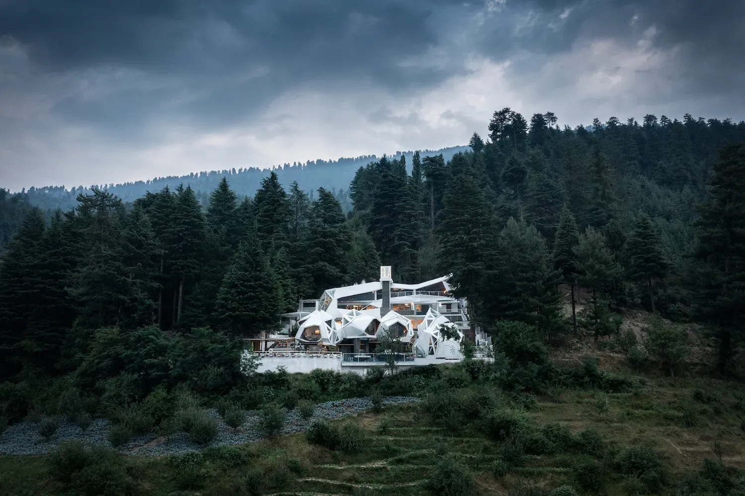 Tree of Life Eila Art,
Naggar