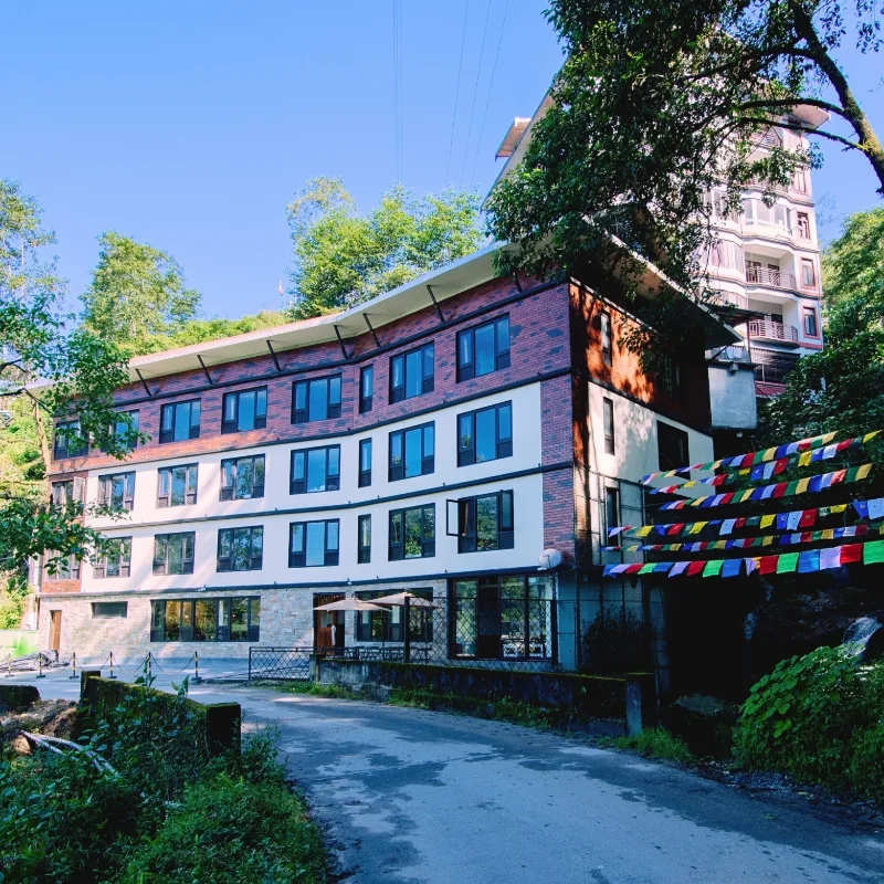 Tree of Life Indra Mandala, Gangtok