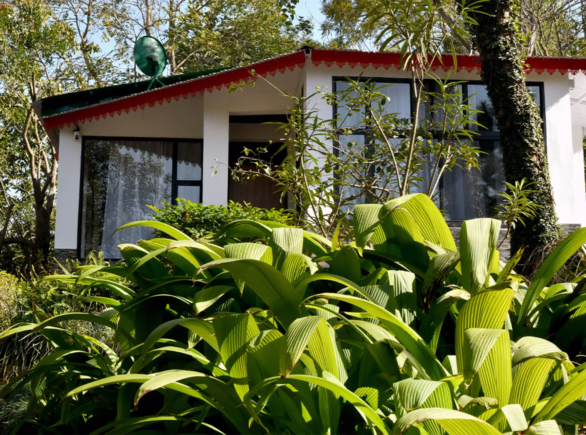 Writer's Hill Nahan, Sirmaur Himachal - amã Stays & Trails