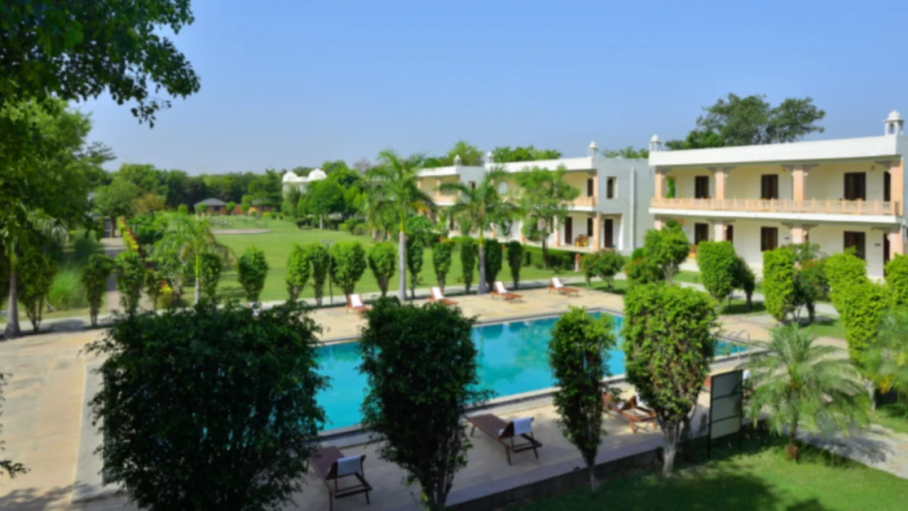 Ginger Ranthambore