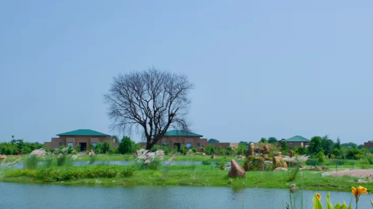 Brij Tara 