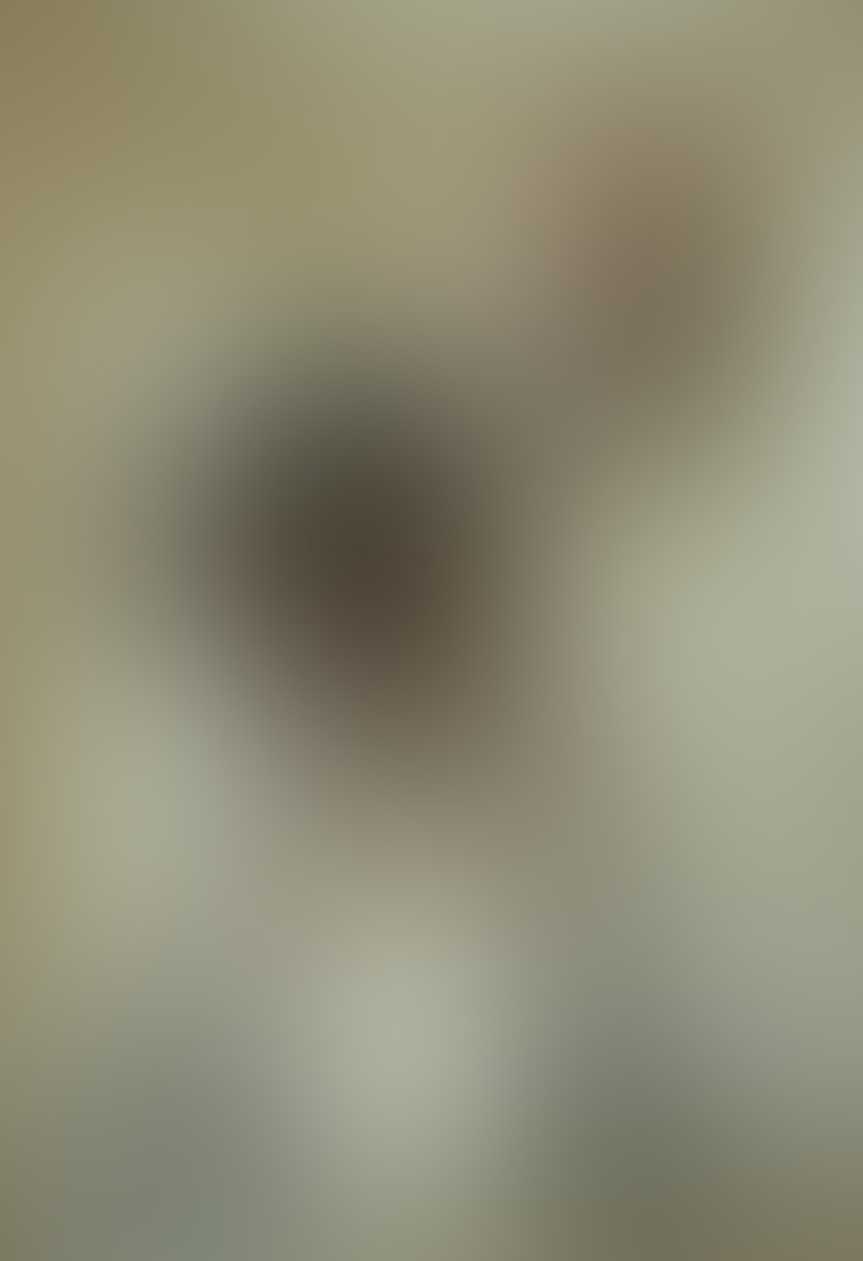 Influencer photo