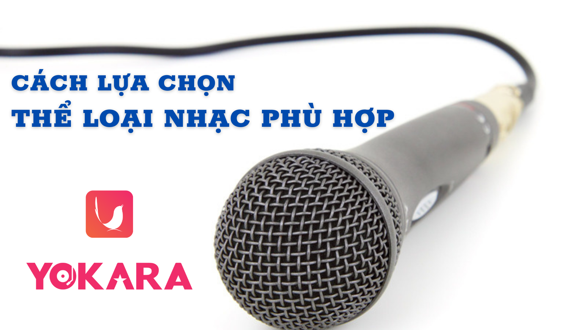 lựa chọn thể loại nhạc