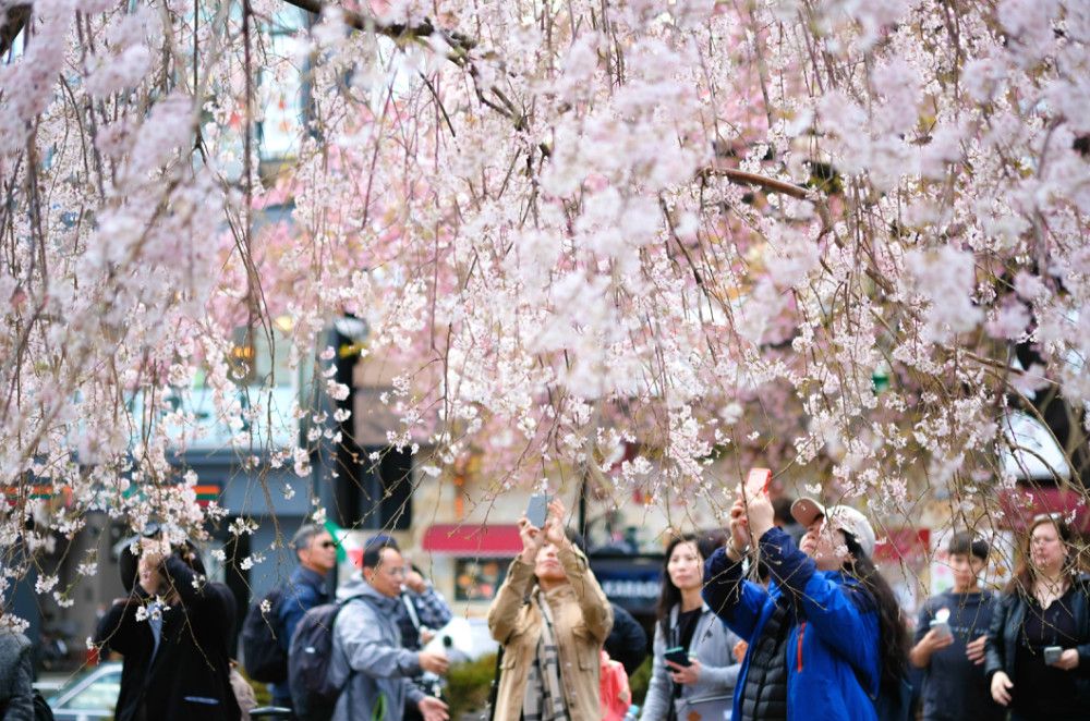 지금 바로 여권을 확인하고 싶어질 거예요! 일본 입국 허가 스티커에 숨겨진 비밀