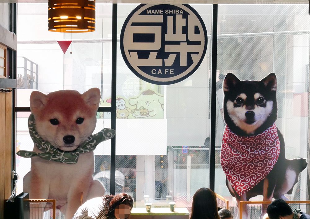 mame shiba cafe