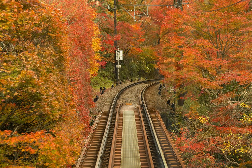 autumn in japan