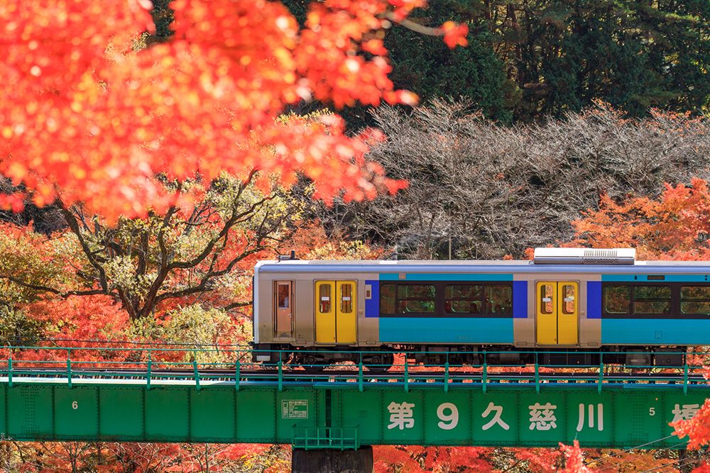 autumn in japan