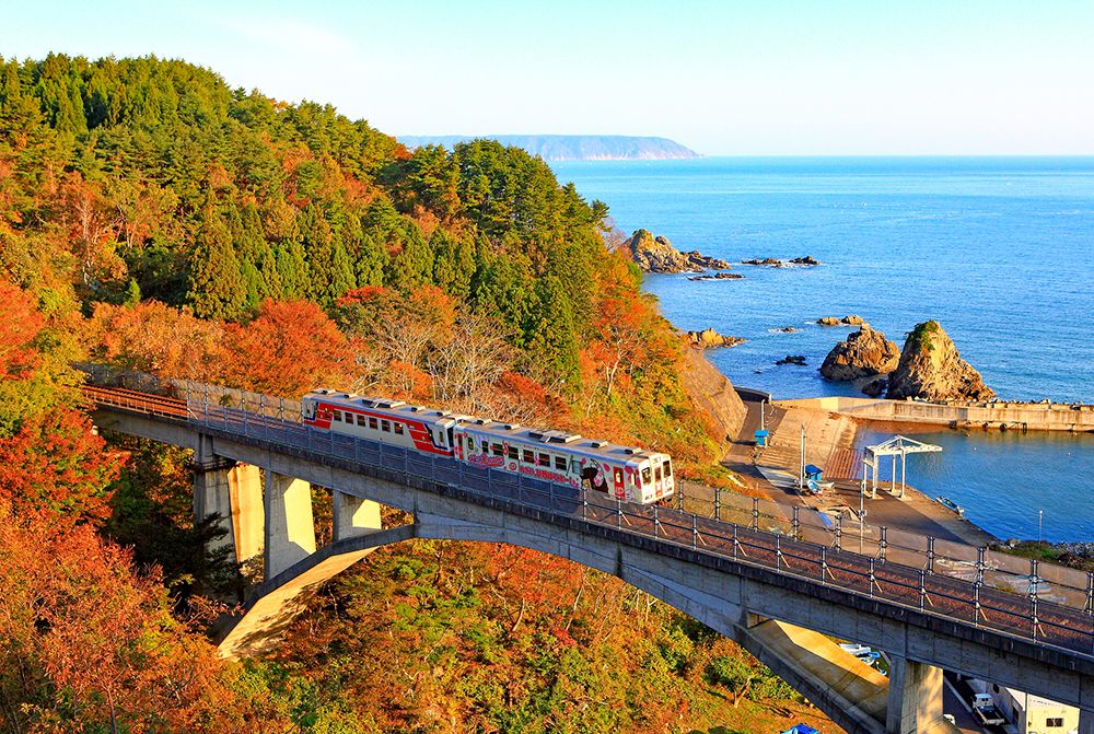 autumn in japan