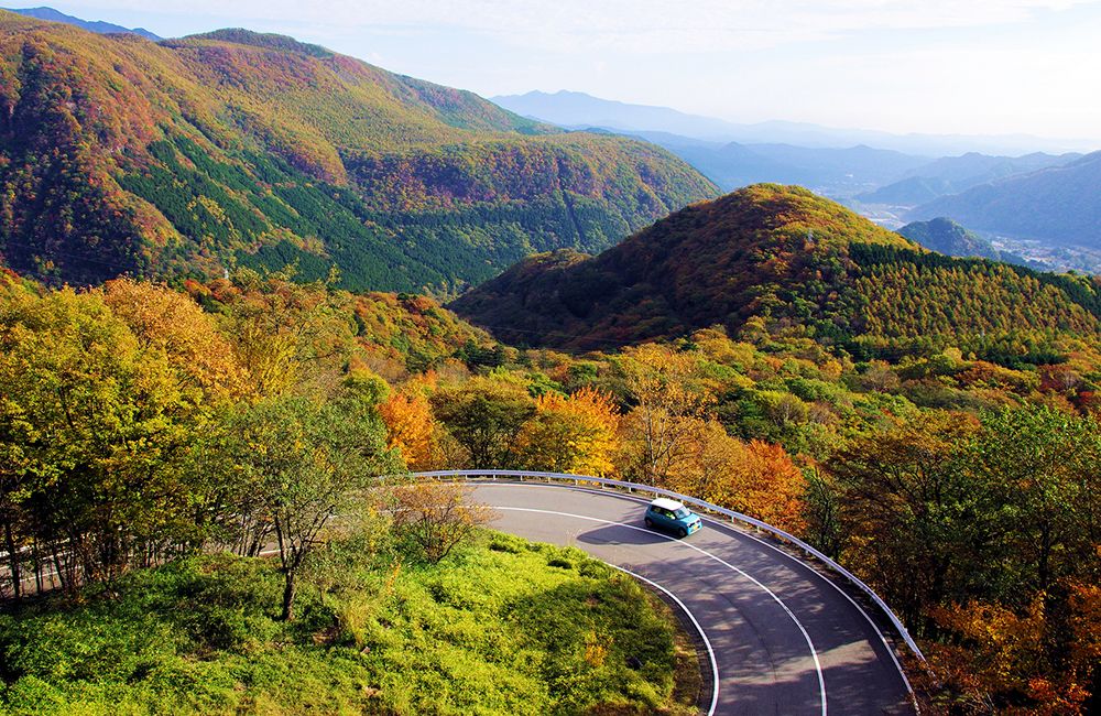 autumn in japan