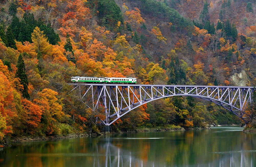 autumn in japan