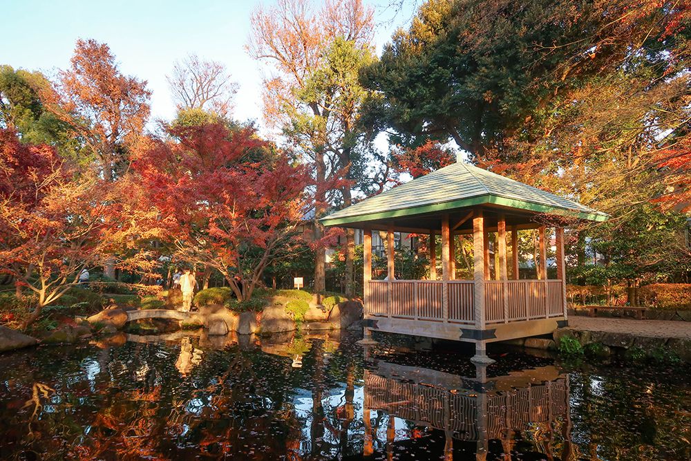 otaguro park ใบไม้เปลี่ยนสี
