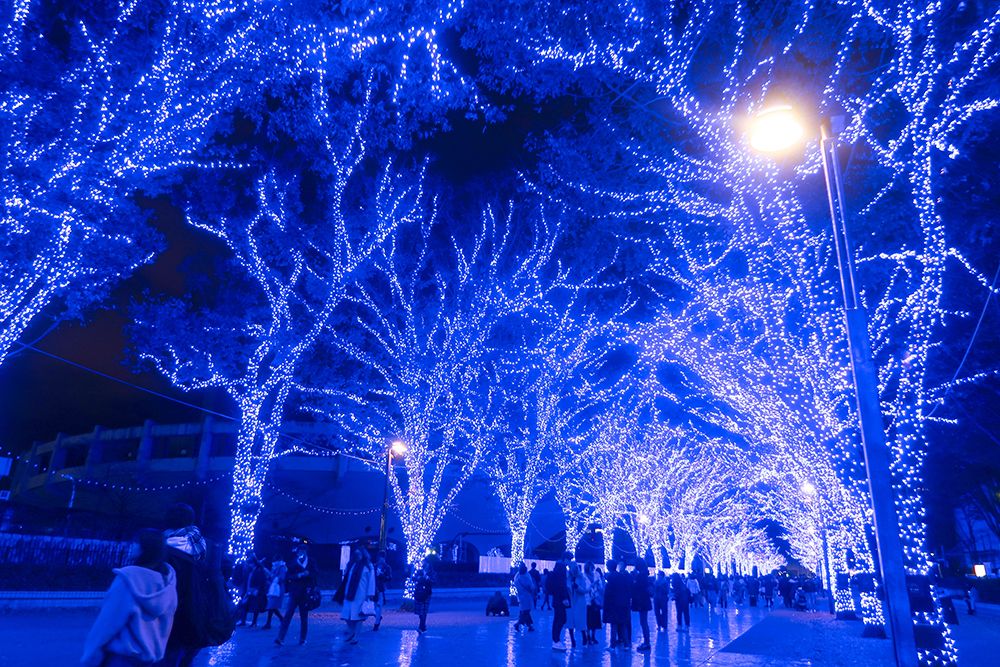 Shibuya illumination Ao no Doukutsu