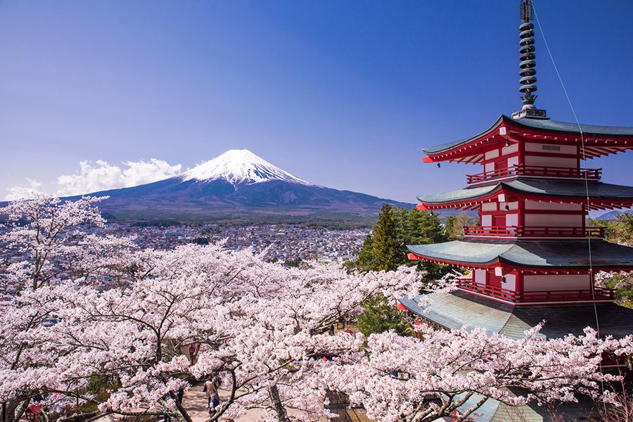 Top places in Japan to see cherry blossom