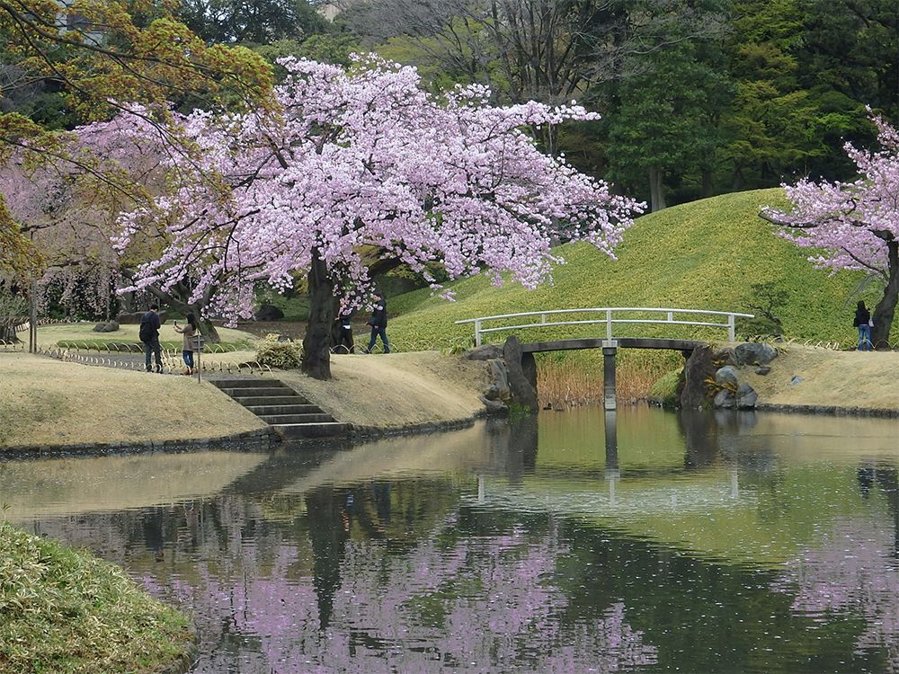 Spring in Tokyo: See Why it's the Most Beautiful Season