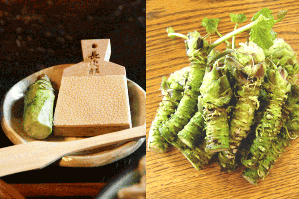 wasabi