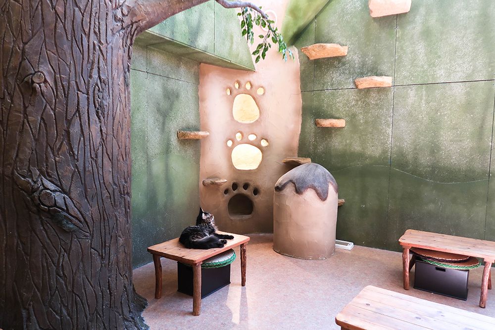 Cat Cafe Temari no Ouchi