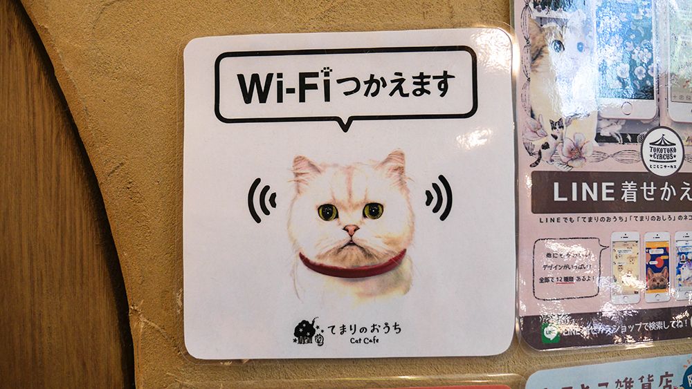 Cat Cafe Temari no Ouchi