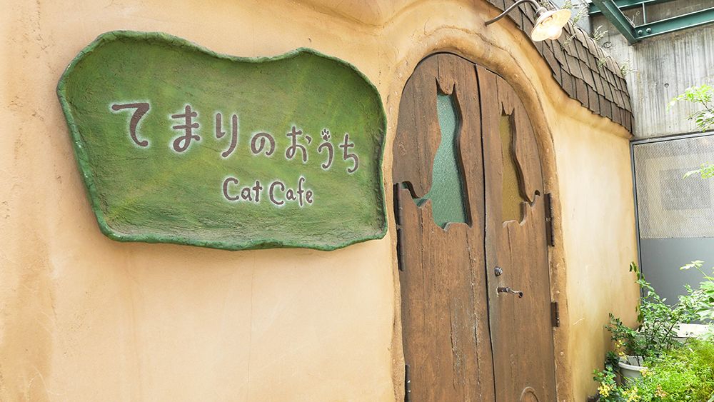 Cat Cafe Temari no Ouchi