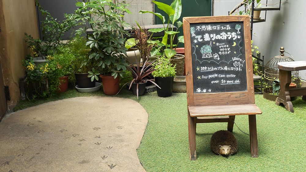 Cat Cafe Temari no Ouchi