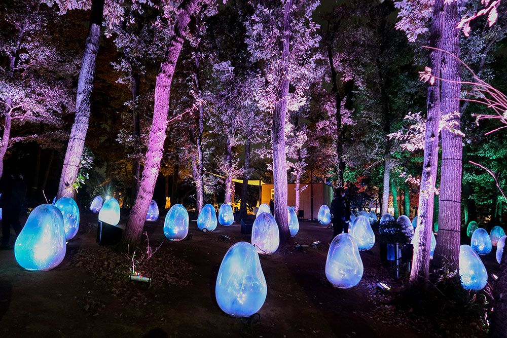 teamLab แห่งใหม่ใกล้โตเกียว Resonating Life in the Acorn Forest