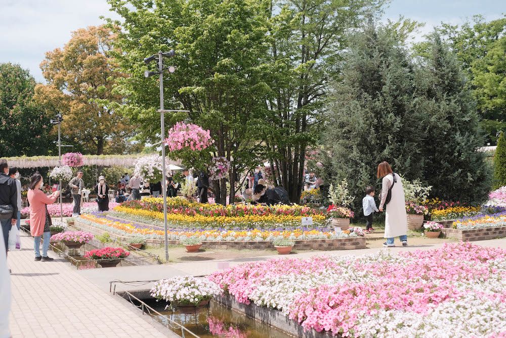 ashikagaflowerpark3.jpg