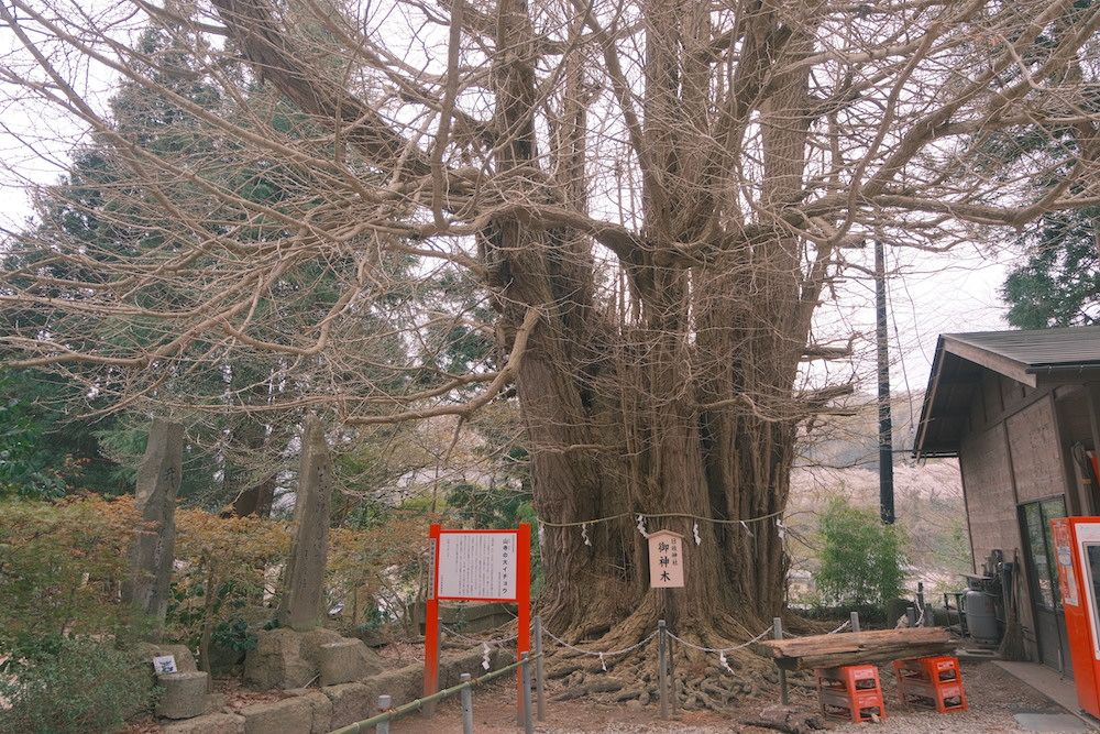 山寺4.JPG