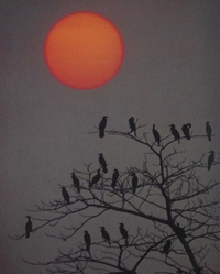 book-cover