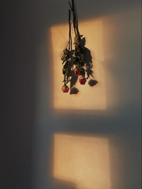 book-cover