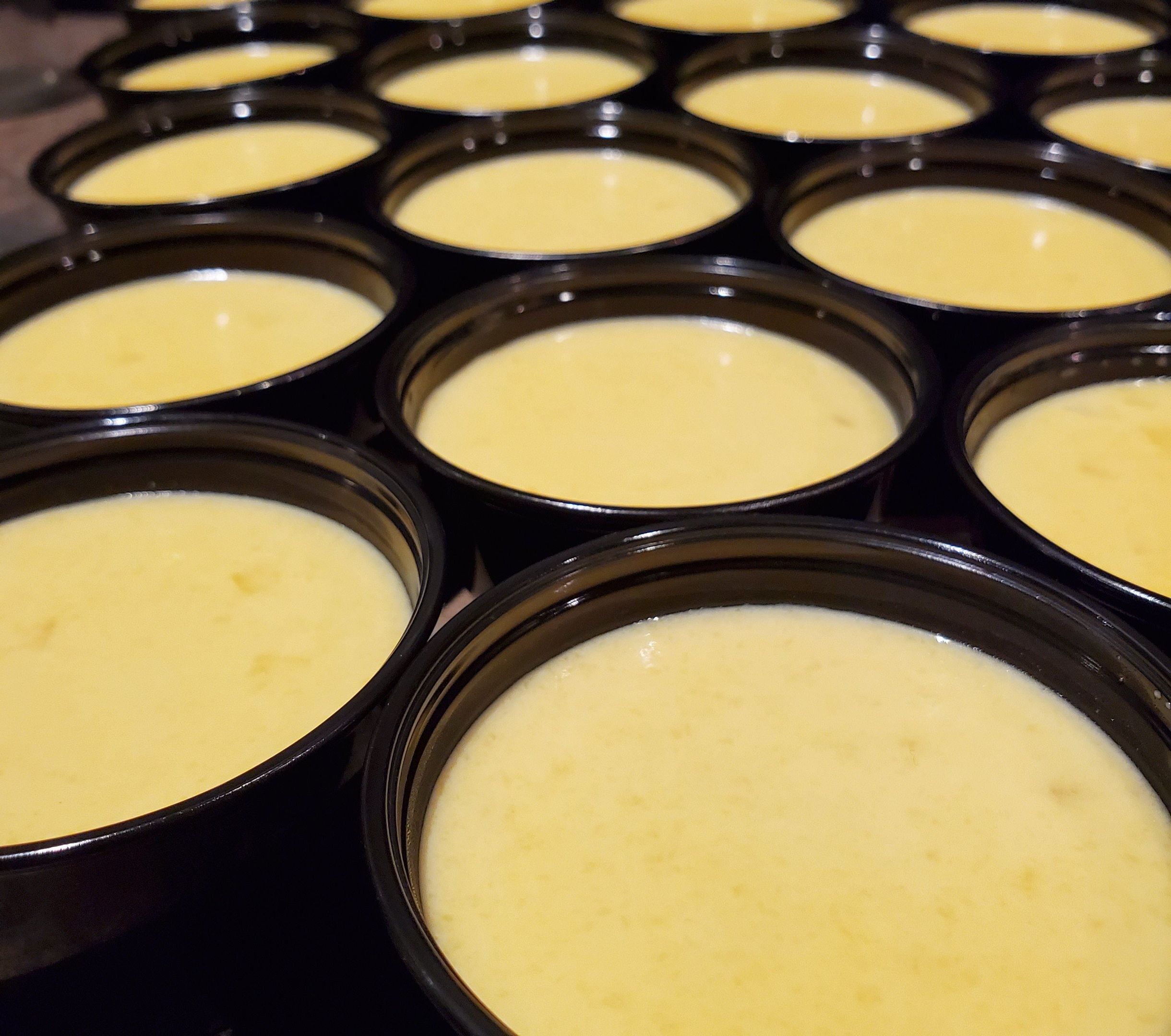 Home Made Mango Pudding