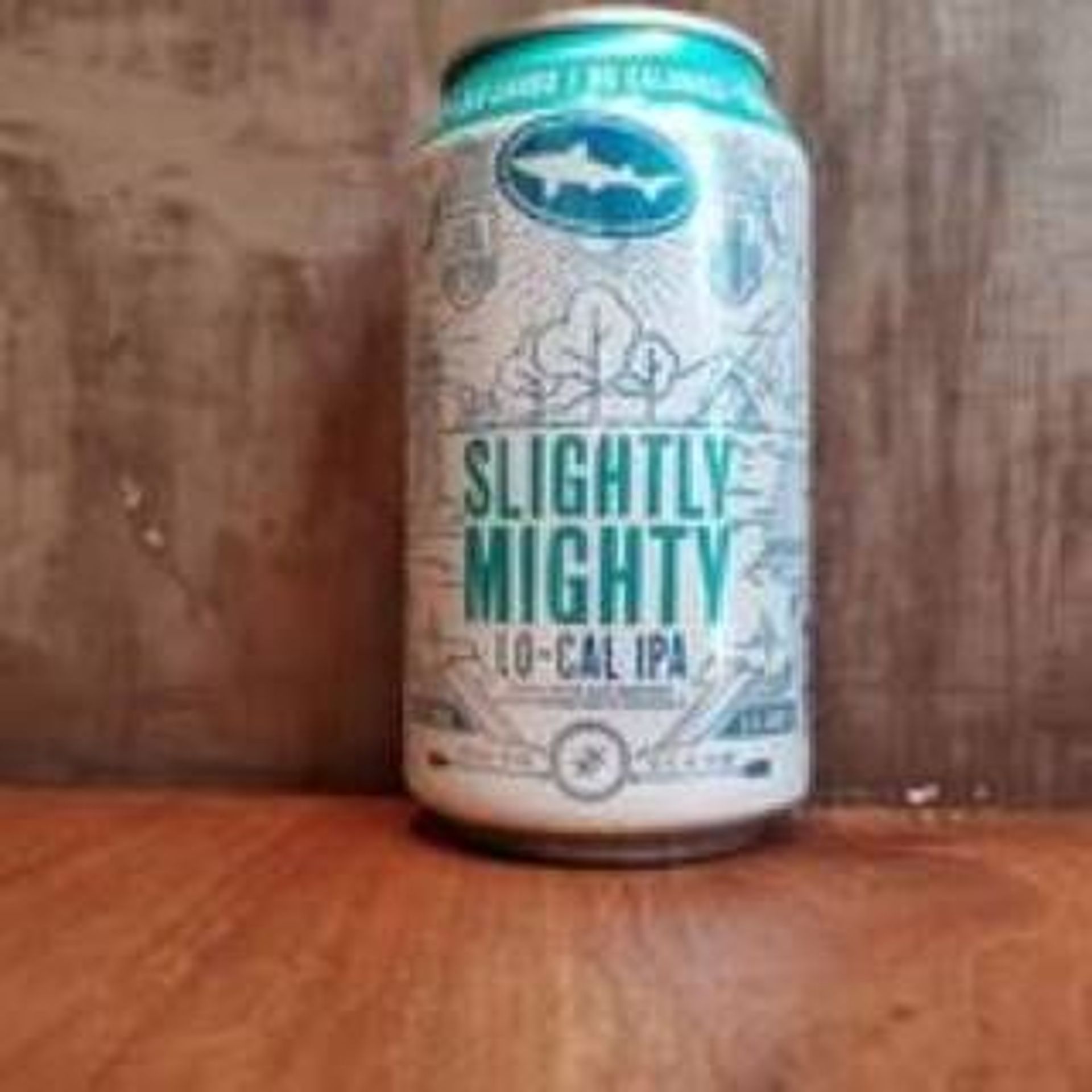 DOGFISH HEAD SLIGHTLY MIGHTY IPA