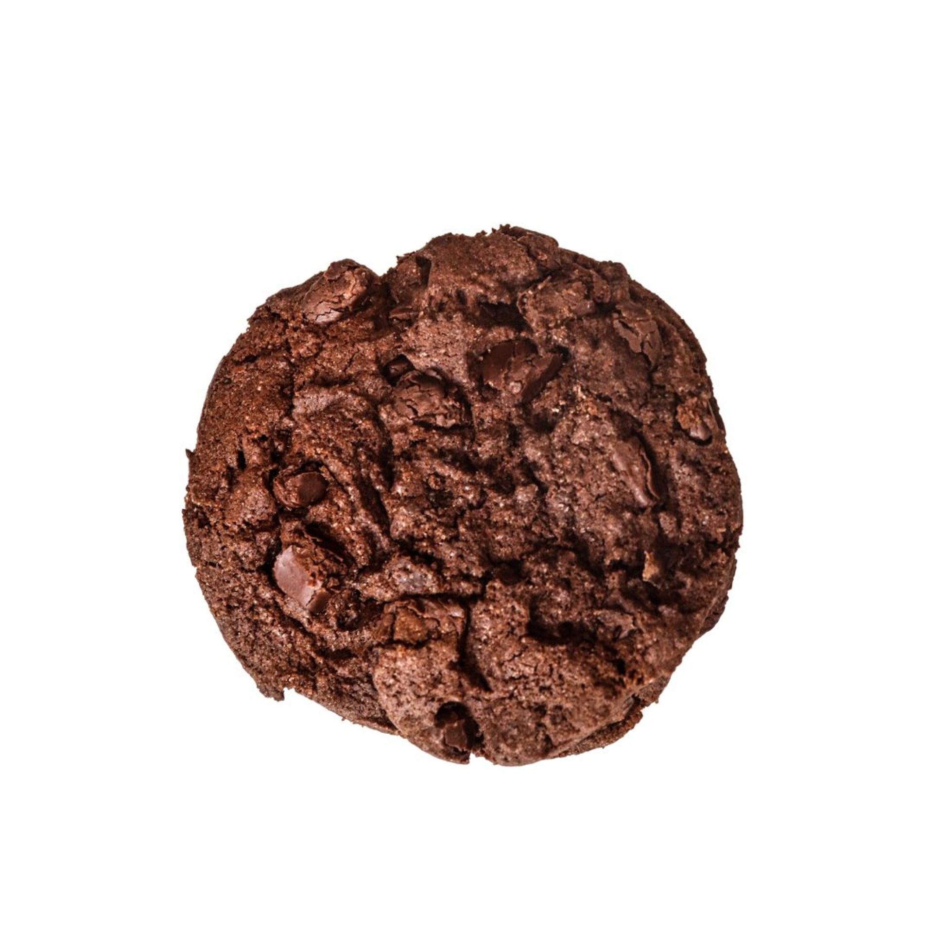 Double Chocolate Cookie